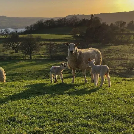 Holiday home Brook House 1 - Uk1415 Bassenthwaite