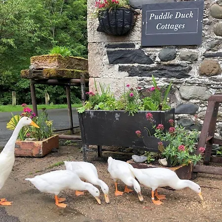 Brook House 1 - Uk1415 *