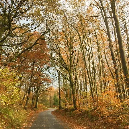 Brook House 1 - Uk1415 Holiday home *